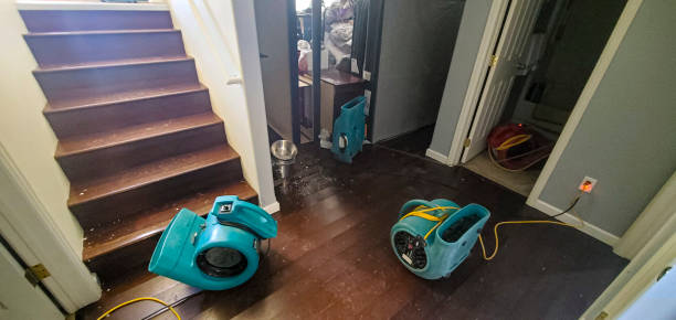 Best Mold removal after water damage  in West Wyoming, PA