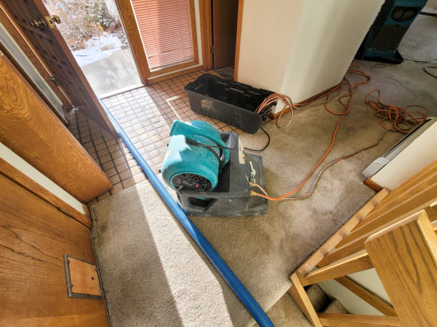 Best Flood damage cleanup  in West Wyoming, PA