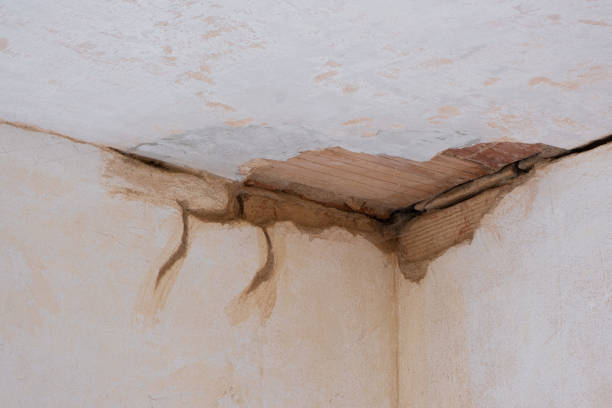 Best Flood damage cleanup  in West Wyoming, PA