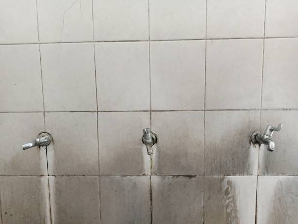Best Professional water damage repair  in West Wyoming, PA