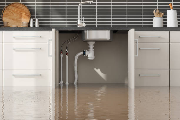 Best 24-hour water damage restoration  in West Wyoming, PA