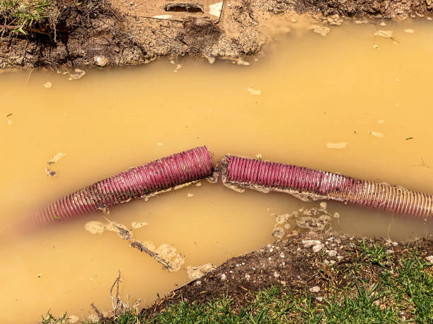 Best Emergency water extraction  in West Wyoming, PA