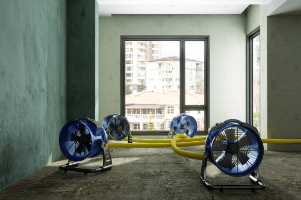 Best Ceiling water damage repair  in West Wyoming, PA